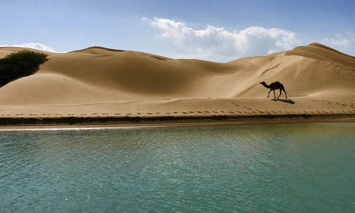 ساحل درک (4).jpg