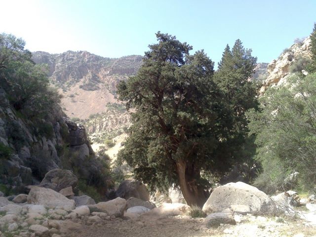 Kherqeh Waterfall (1).jpg