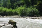 Sehezar Forest Park (1).jpg