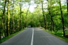 Sehezar Forest Park (5).jpg