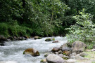 Sehezar Forest Park (4).jpg