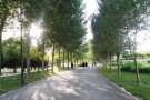 Azadegan Park (2).jpg