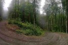 Sehezar Forest Park (2).jpg