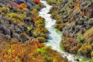 Sezar River (4).jpg
