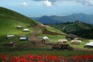 2015-04-18-09-46-44_deco.jpg