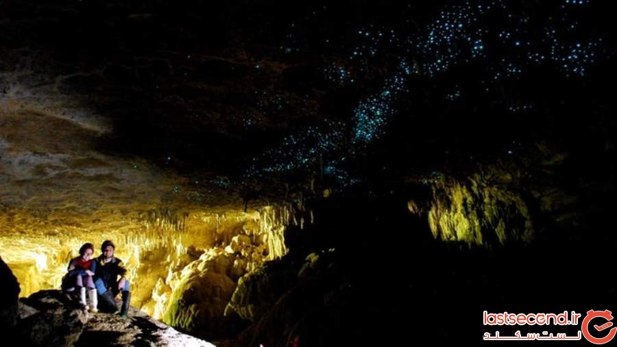 غارهای کرم شب‌تاب - نیوزیلند