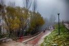 Meshgin Shahr Forest Park (1).JPG