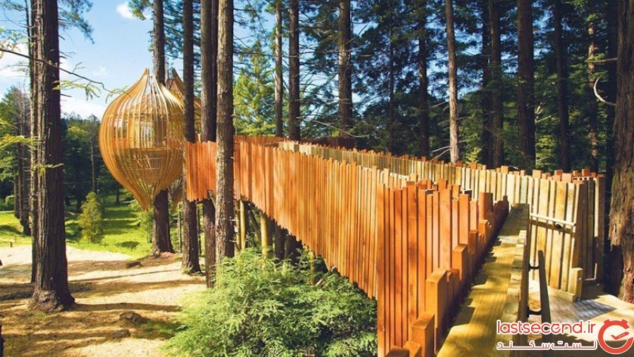 خانه درختی رِد وودز (Redwoods Treehouse) - نیوزیلند