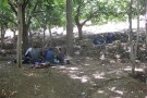 Khalil Garden (3).jpg