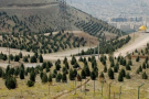 Latmal e Kan Forest Park (1).png
