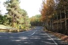Lavizan Forest Park (4).jpg