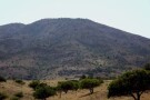 Khojir National Park (2).jpg