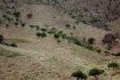 Khojir National Park (5).jpg
