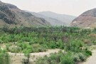 Khojir National Park (4).jpg