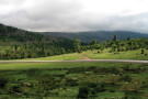 Olang Forest (1).jpg