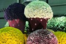 Mashhad Flower and Plant Exhibition.jpeg