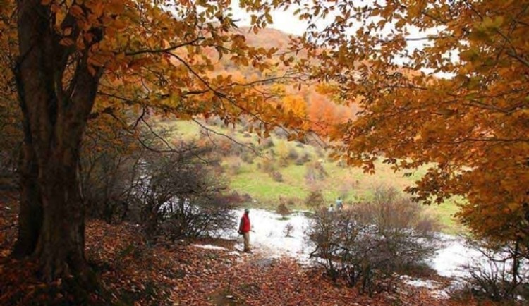 روستا و جنگل ارفعده، روستای ارفعده، سواد کوه، ایران | لست سکند