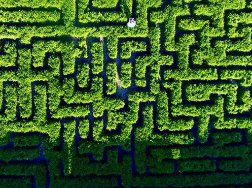 MAZE-01-497x370_c.jpg