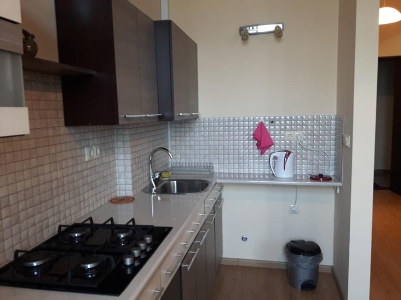 Apartment on Aleksandr Pushkin Street 13 - 28.jpg