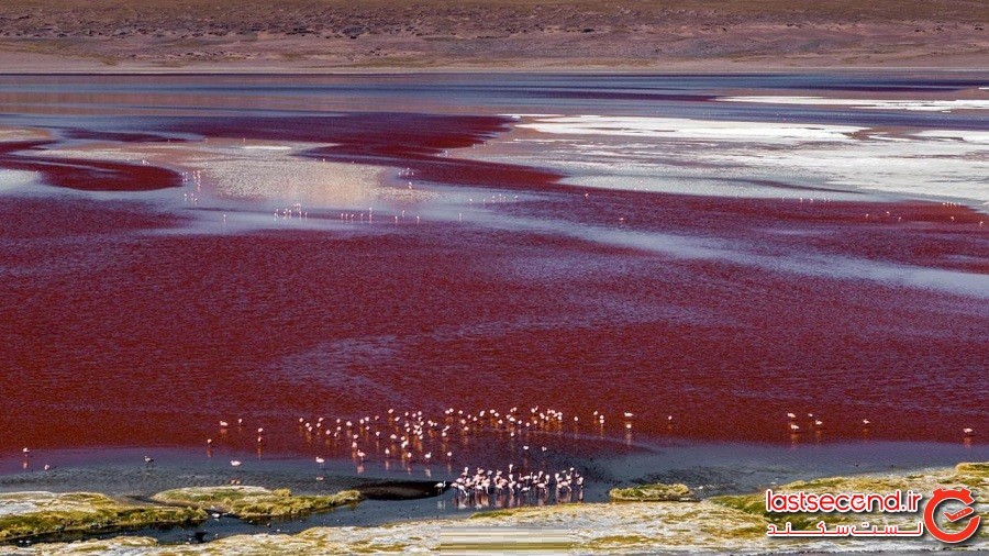 چشم‌انداز رنگین‌کمانی سورئال بولیوی