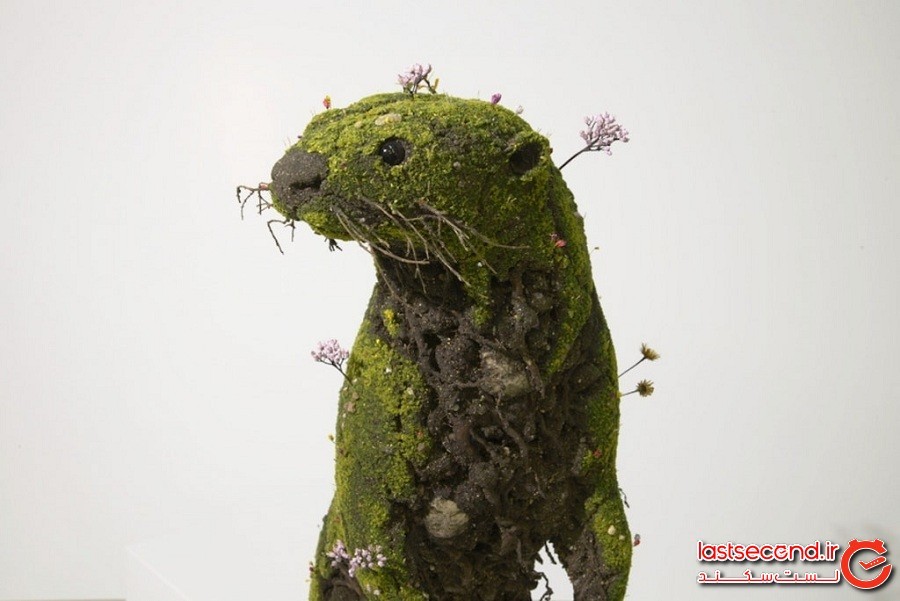 مجسمه‌های گیاهی سورئالی که باعث می‌شوند فکر کنید باغچه‌تان زنده شده است