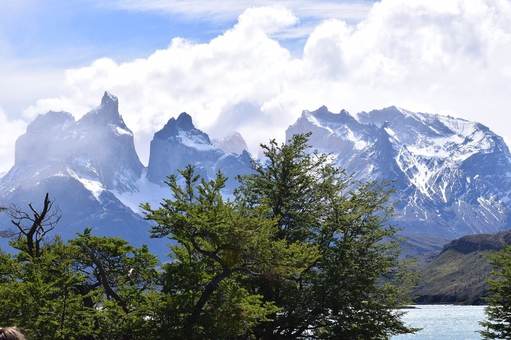 Torres del Paine National Park (1).jpg