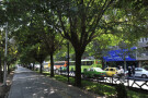 Keshavarz Boulevard Walkway (4).jpg