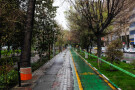 Keshavarz Boulevard Walkway (2).jpg