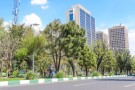 Keshavarz Boulevard Walkway (5).jpg