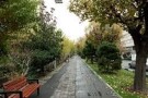 Keshavarz Boulevard Walkway (3).jpg