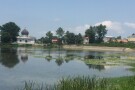 SeyedVarestan Pond (1).jpeg