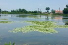 SeyedVarestan Pond (2).jpeg