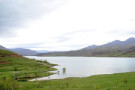 Taleqan Dam (3).jpg