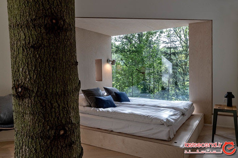 یک هتل، به سبک خانه درختی، که برای مهمانان ماجراجو، آماده شده است