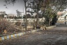 Velayat Park (2).JPG