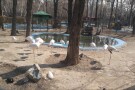 City Park Tehran - 06.jpg