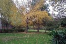 City Park Tehran - 07.jpg
