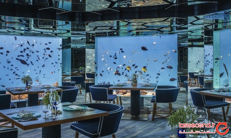 رستوران چندوجهی زیرآب که شما را دعوت به‌صرف غذا در نزدیکی زندگی دریایی تماشایی می‌کند