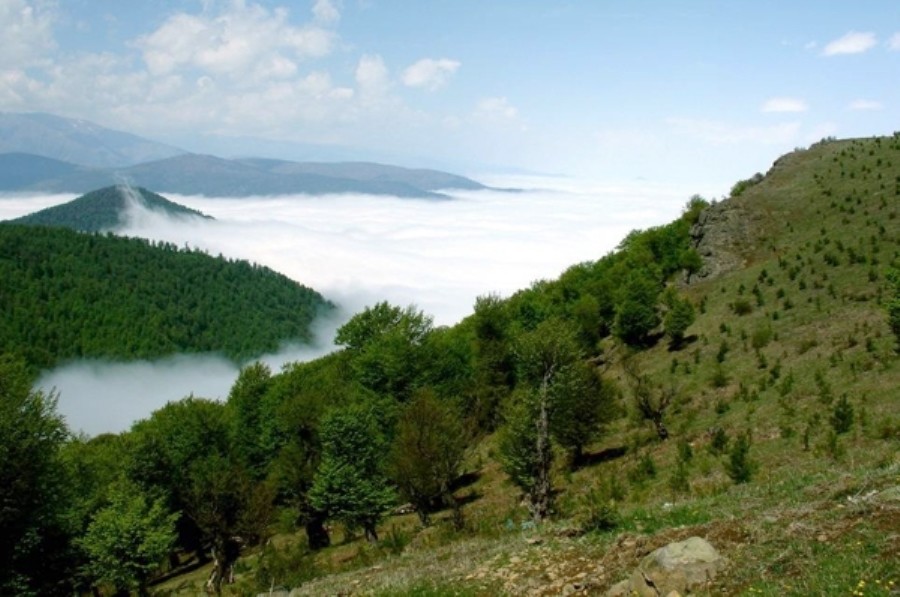دره جنگلی مکیدی، بهشت کلیبر در آذربایجان شرقی!