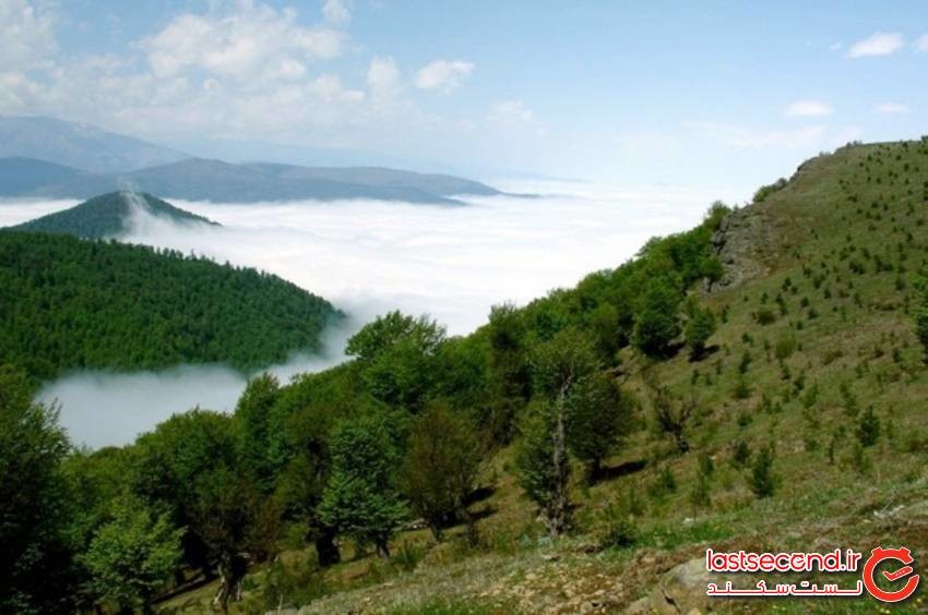 دره جنگلی مکیدی، بهشت کلیبر در آذربایجان شرقی! | لست سکند