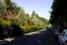 Pardisan Park (1).jpg