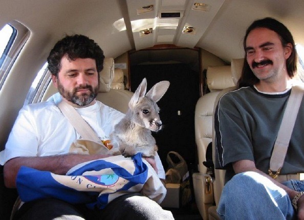 10 حیوان خانگی عجیب که افراد می توانند به داخل هواپیما بیاورند!