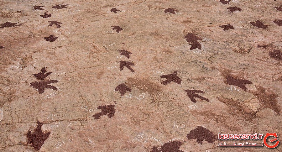 سرزمین دایناسورها در پارک ژوراسیک کشور بولیوی
