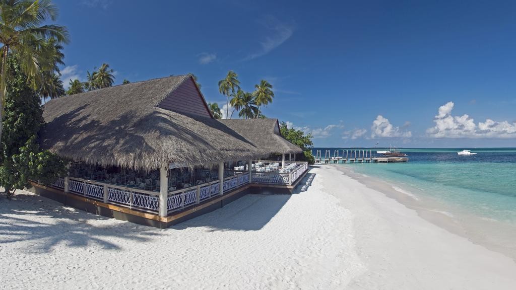 malahini-kuda-bandos (12).jpg