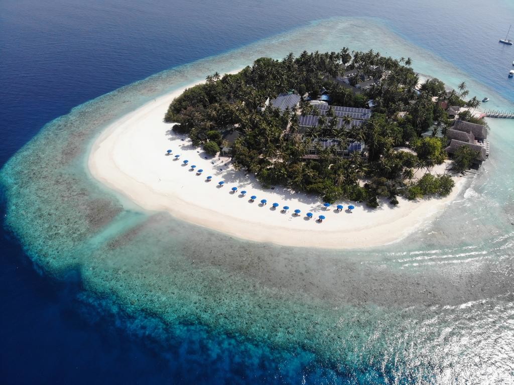 malahini-kuda-bandos (20).jpg