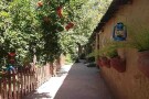 baghegolha_uspace_1539437315.jpg