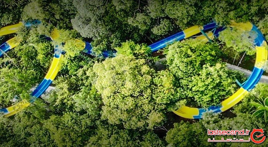 طولانی‌ترین سرسره آبی جهان که به‌تازگی ساخته شده است شما را 1111 متر در دل جنگل سُر می‌دهد