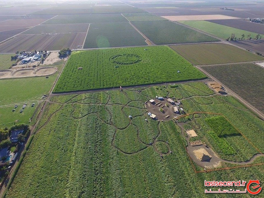 مزرعه کدو تنبل‌های جالب و جذاب - دیکسون ، کالیفرنیا