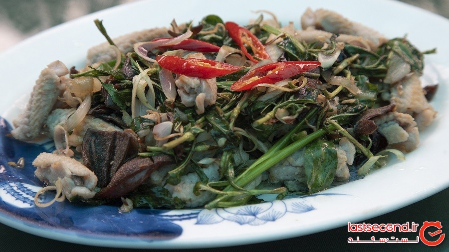 مشهورترین رستوران ویتنام که غذاهایی با گوشت مار سرو می‌کند!