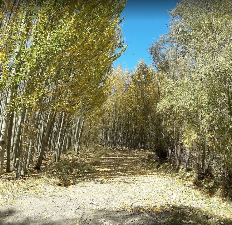 Pir-e Ghar (3).JPG